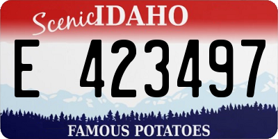ID license plate E423497