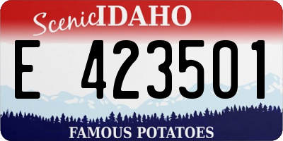 ID license plate E423501