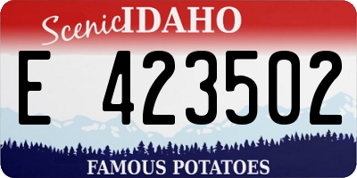 ID license plate E423502