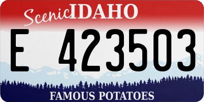 ID license plate E423503