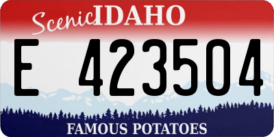 ID license plate E423504
