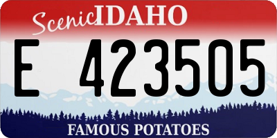 ID license plate E423505
