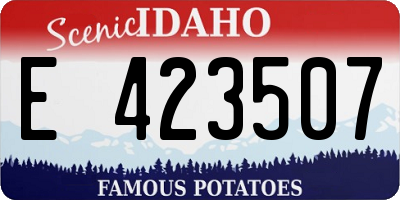 ID license plate E423507