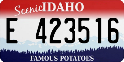 ID license plate E423516