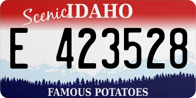 ID license plate E423528