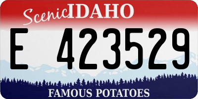 ID license plate E423529