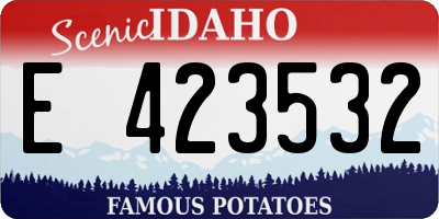 ID license plate E423532
