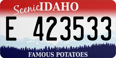 ID license plate E423533