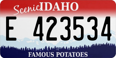 ID license plate E423534