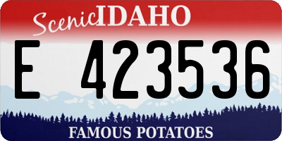 ID license plate E423536