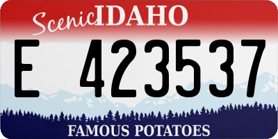 ID license plate E423537