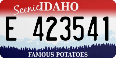 ID license plate E423541