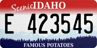 ID license plate E423545