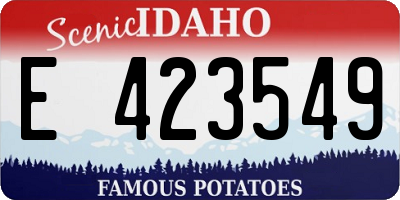 ID license plate E423549