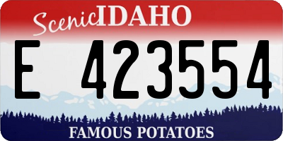 ID license plate E423554