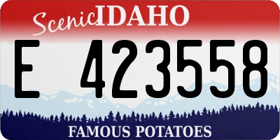 ID license plate E423558