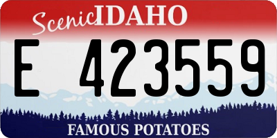 ID license plate E423559