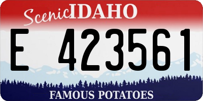 ID license plate E423561