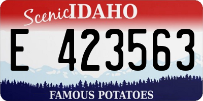 ID license plate E423563