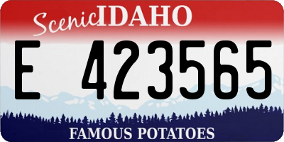 ID license plate E423565