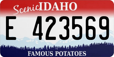 ID license plate E423569
