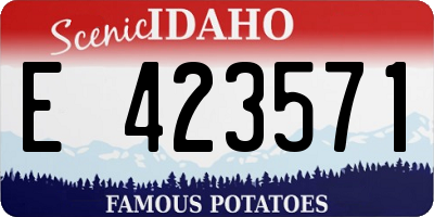 ID license plate E423571