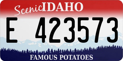 ID license plate E423573