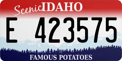 ID license plate E423575
