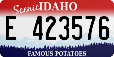 ID license plate E423576