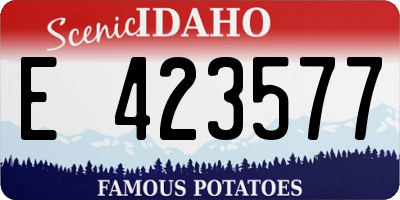 ID license plate E423577