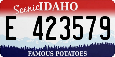 ID license plate E423579