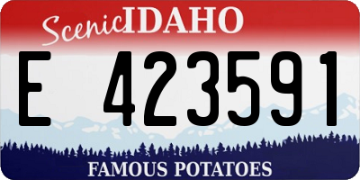ID license plate E423591