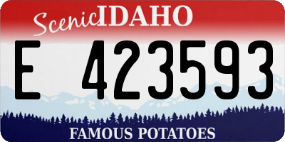 ID license plate E423593