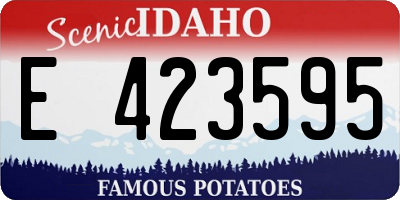 ID license plate E423595