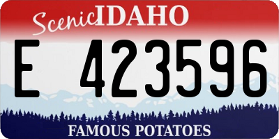 ID license plate E423596