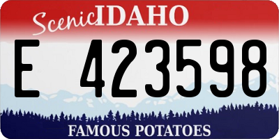 ID license plate E423598