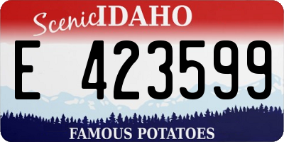 ID license plate E423599