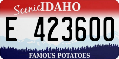 ID license plate E423600