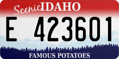 ID license plate E423601