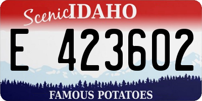 ID license plate E423602