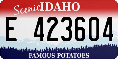 ID license plate E423604