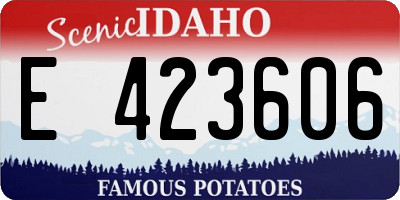 ID license plate E423606