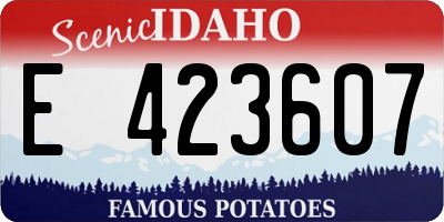 ID license plate E423607