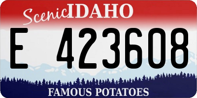 ID license plate E423608
