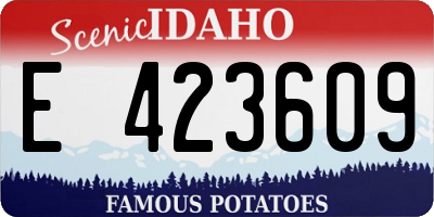 ID license plate E423609