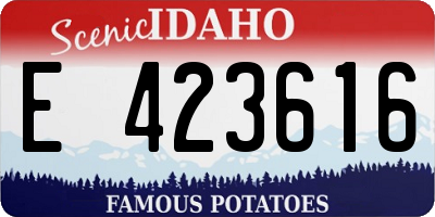 ID license plate E423616