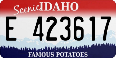 ID license plate E423617