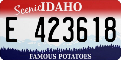 ID license plate E423618