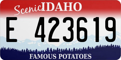 ID license plate E423619