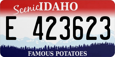 ID license plate E423623